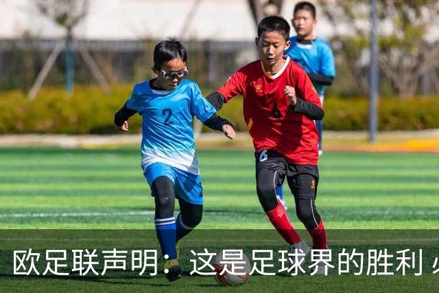 欧足联声明：这是足球界的胜利 必须查明责任人并追究责任